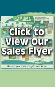 Click to view our Special Offers