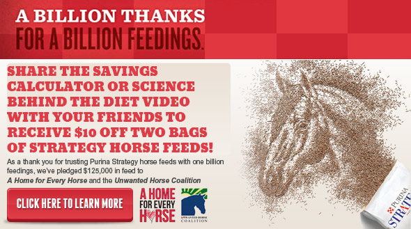 Billion Feedings
