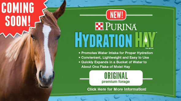 Hydration Hay