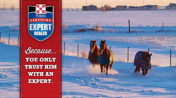 Equine CED ad