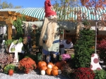 Scarecrow