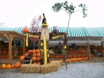 Scarecrow 2009