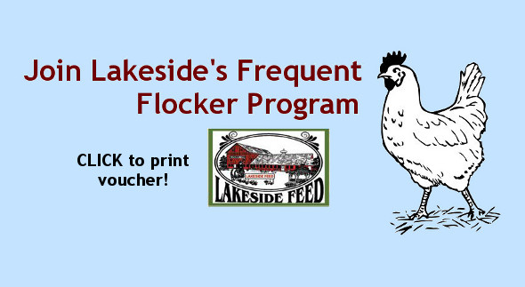 Frequent Flocker