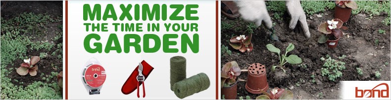 Maximize Garden
