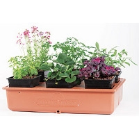 Green College Class: Container Gardening