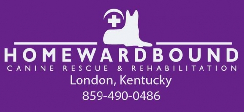 Homeward Bound & Woodstock Animal Foundation Adoption Event