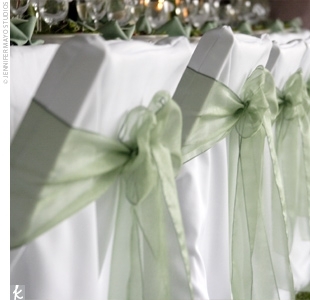 Poly Chair Cover
