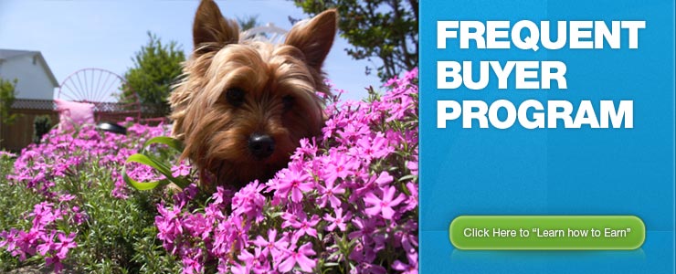 Blue Seal Frequent Buyer Program