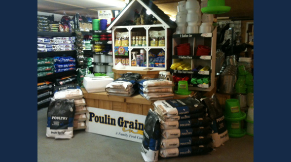 Poulin 1