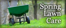 Spring Lawn Care