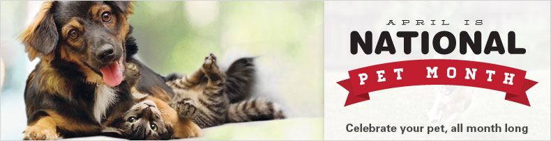 National Pet Month