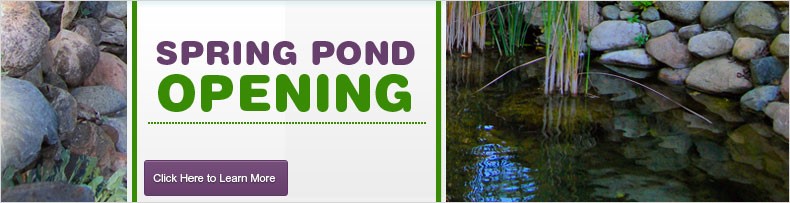 Spring Pond Opening