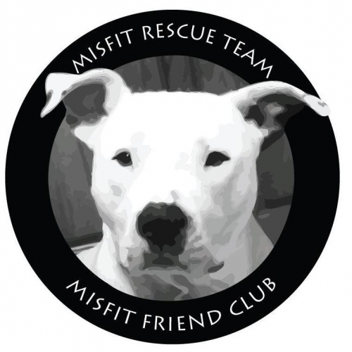Misfit Rescue Team Adoption Event