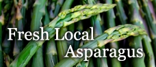 Fresh Local Asparagus