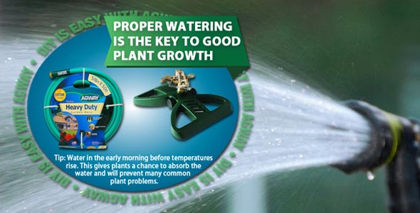 proper watering is key to good plant growth