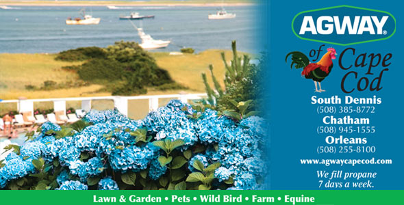 agway of cape cod