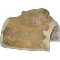 Save 20% on Entire Selection of A&E Java Wood