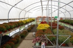 Greenhouse