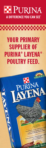 Layena SunFresh Recipe