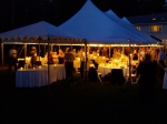 30' x 60' with 10' x 10'' Bar Tent - Mermaid