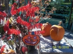 Red Flowers