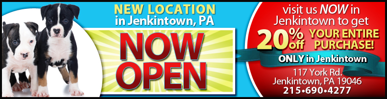 Jenkintown