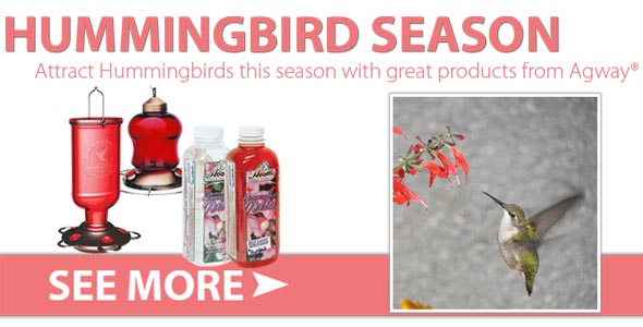 June Agway Bird slide