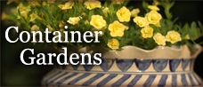 Container Gardens