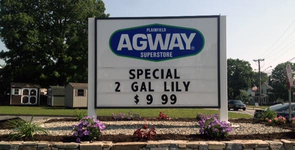 Store Front